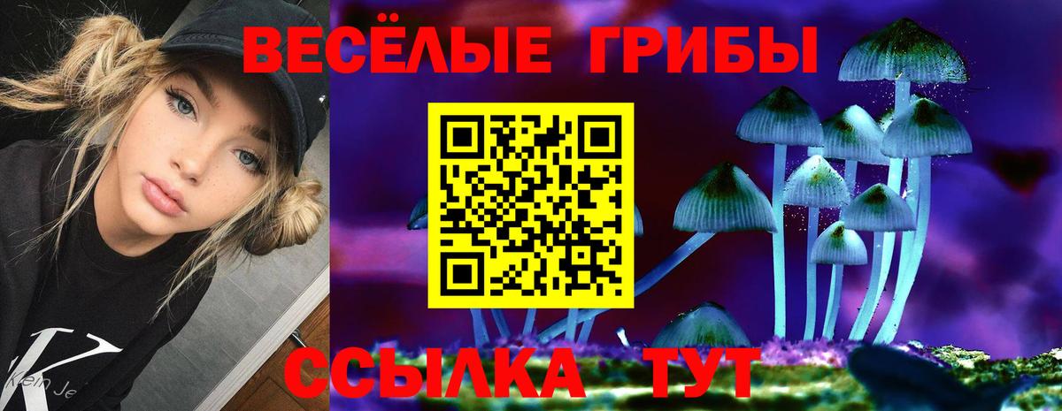 Псилоцибиновые грибы Cubensis  Вход с VPN  Галлюциногенные грибы Cubensis  Воткинск 